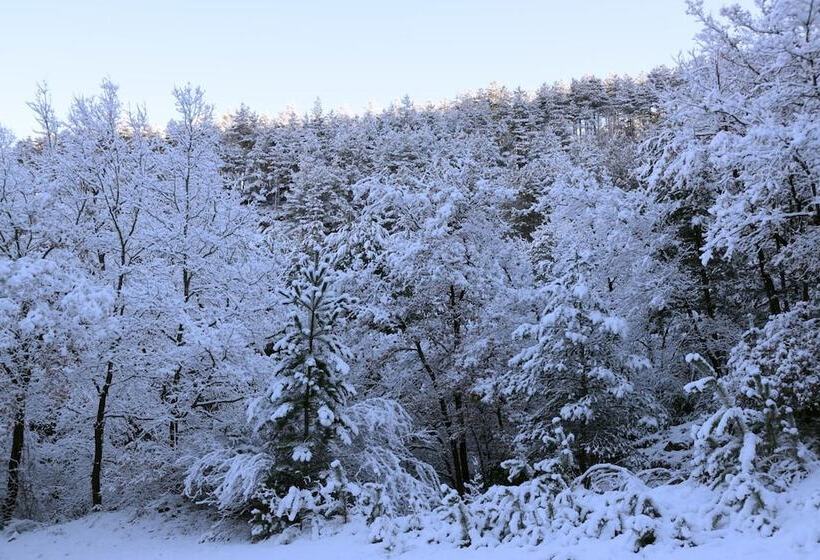 Отель Los Nogales