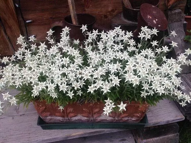 호텔 Auberge De La Maison