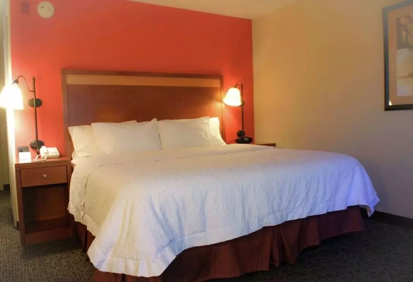 Szálloda Hampton Inn Montgomery South Airport