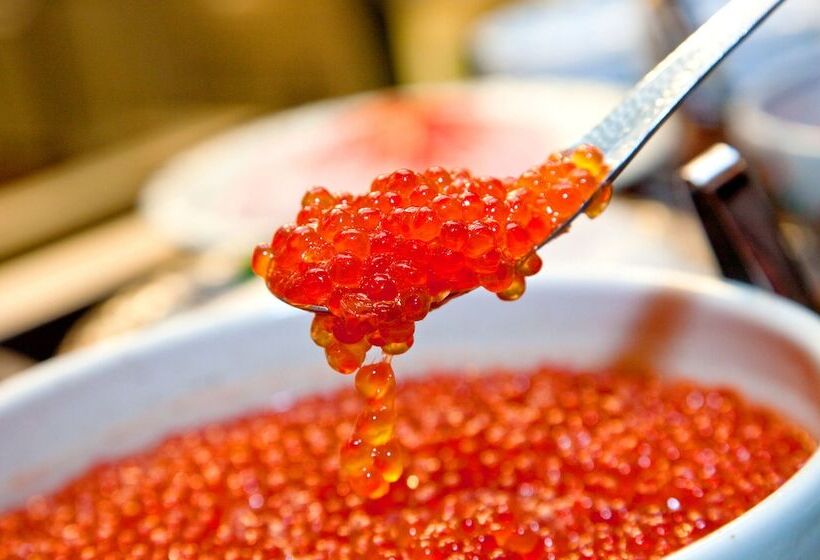 فندق La Vista Hakodate Bay