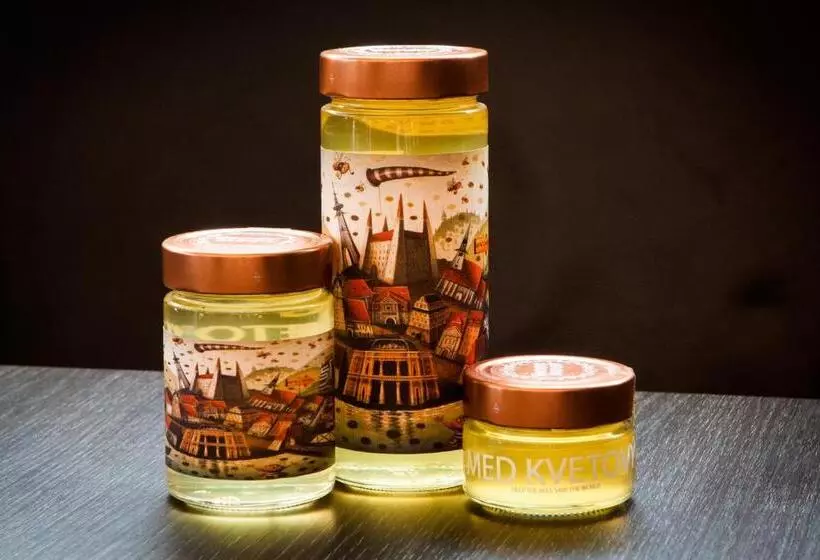 هتل NH Bratislava Gate One