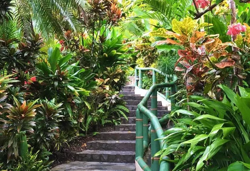 בית מלון כפרי Si Como No Resort & Wildlife Refuge