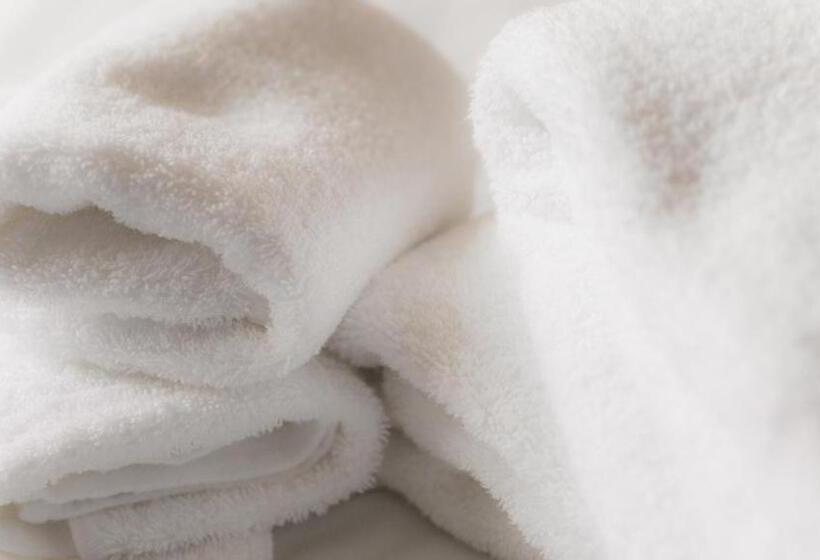 Spa Hotel Alpina Hida Takayama