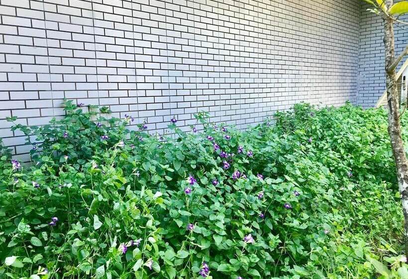 Oceanward Hotels & Resorts