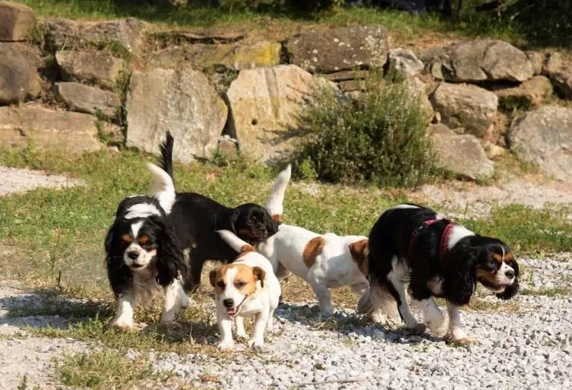 تختخواب و صبحانه Agriturismo Cascina Costa