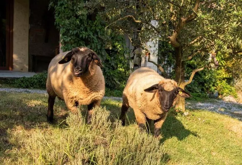 تختخواب و صبحانه Agriturismo Cascina Costa