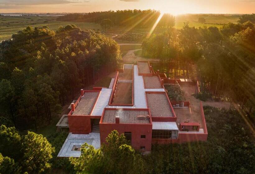 Szálloda Luz Culinary Wine Lodge