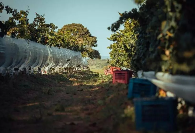 Hotelli Luz Culinary Wine Lodge