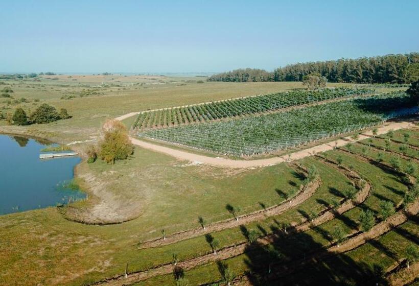 Szálloda Luz Culinary Wine Lodge