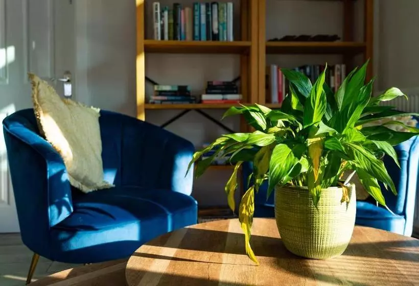 تختخواب و صبحانه Rivendell Park