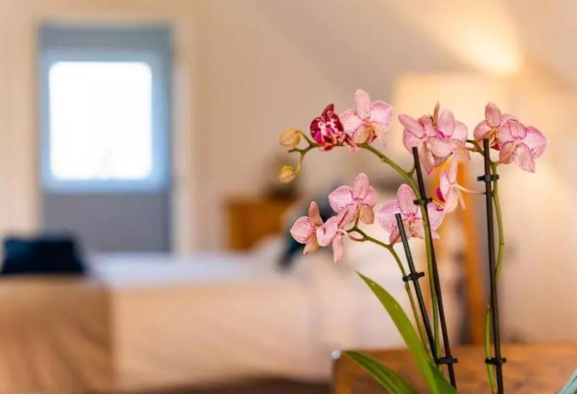 تختخواب و صبحانه Rivendell Park