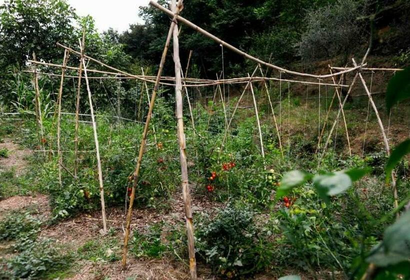 בית מלון כפרי Leremorifugio Escursionistico10 Min Steep Walk