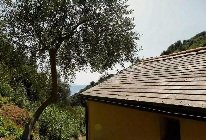 ホテル Leremorifugio Escursionistico10 Min Steep Walk