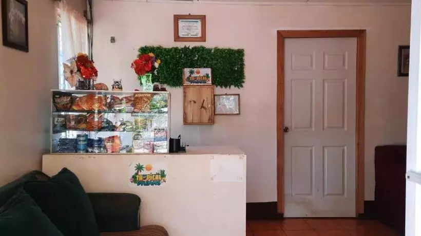 ペンション Hospedaje Tropical Dreams