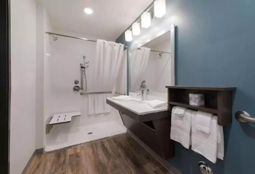 ホテル Woodspring Suites Philadelphia Northeast