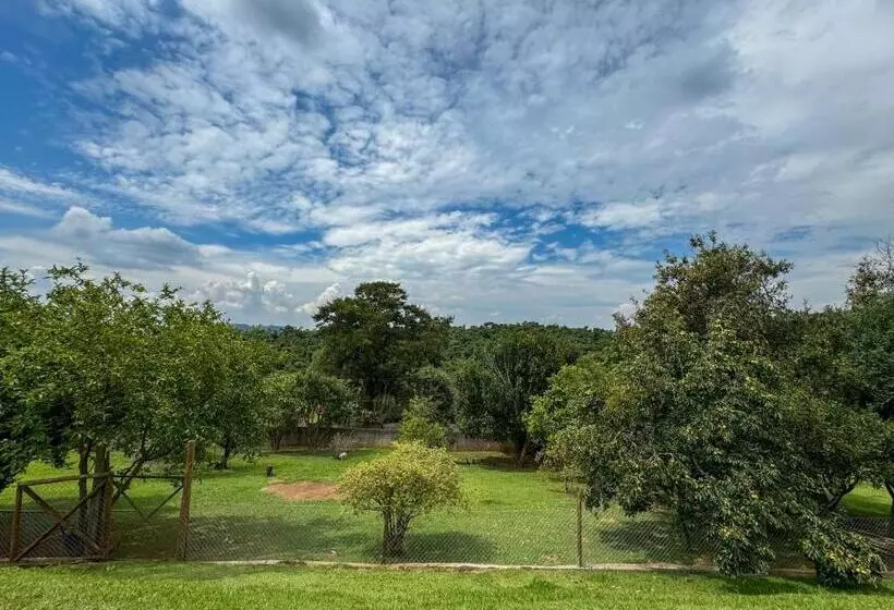 ペンション Pousada Espaço Do Sol