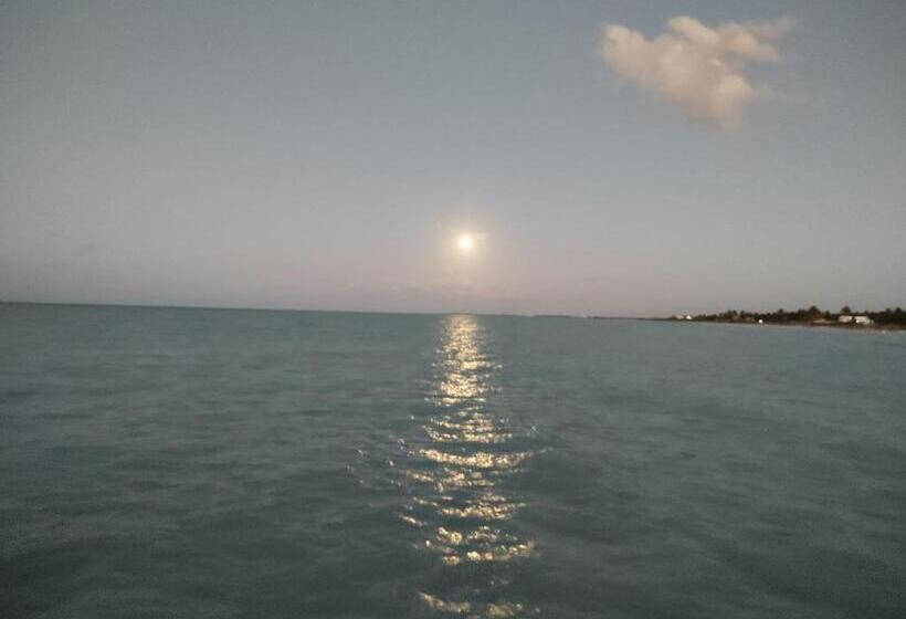 ホテル La Casona De Sisal