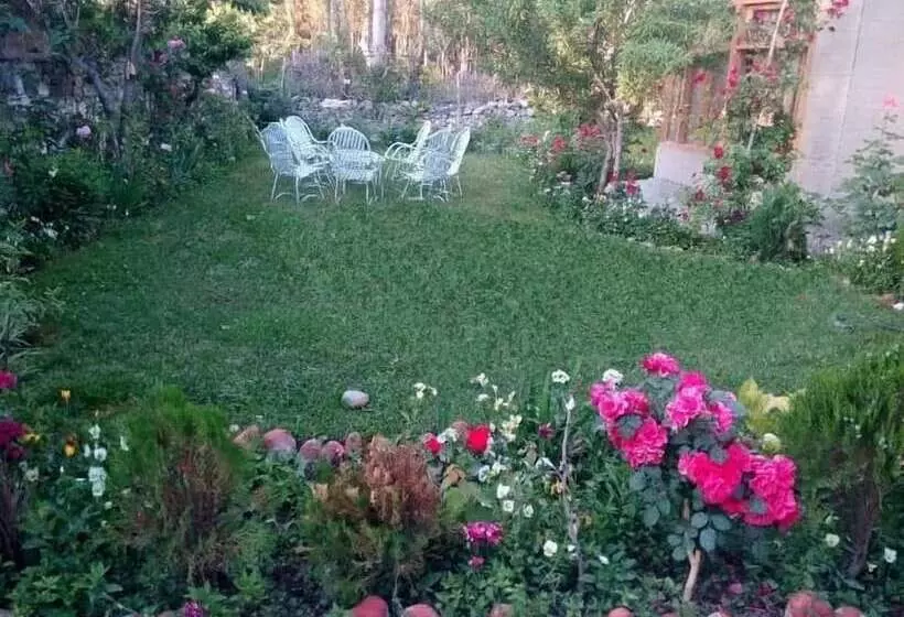 پانسیون Ilyasin Guest House