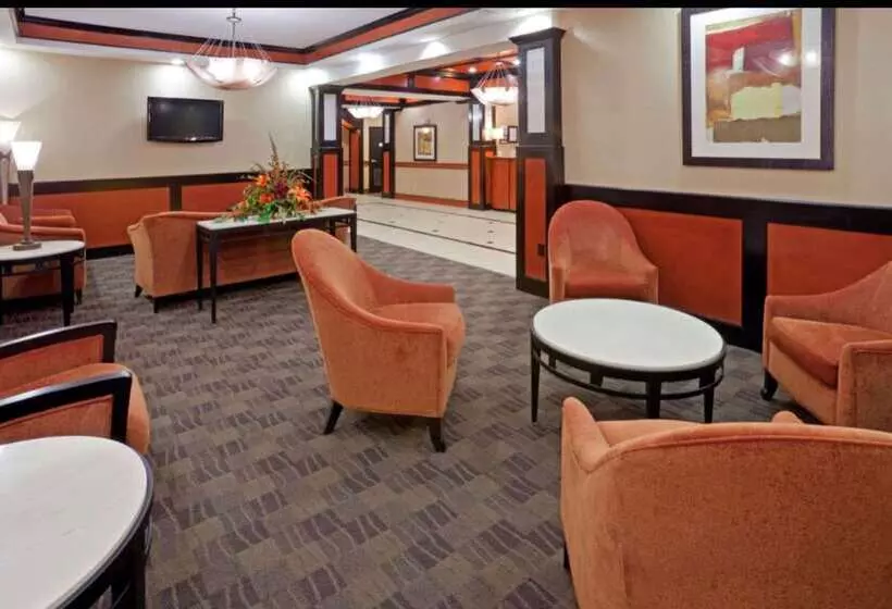 Отель Comfort Inn & Suites Dallas Medicalmarket Center
