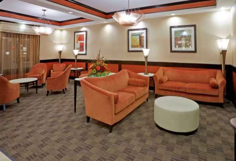 Отель Comfort Inn & Suites Dallas Medicalmarket Center