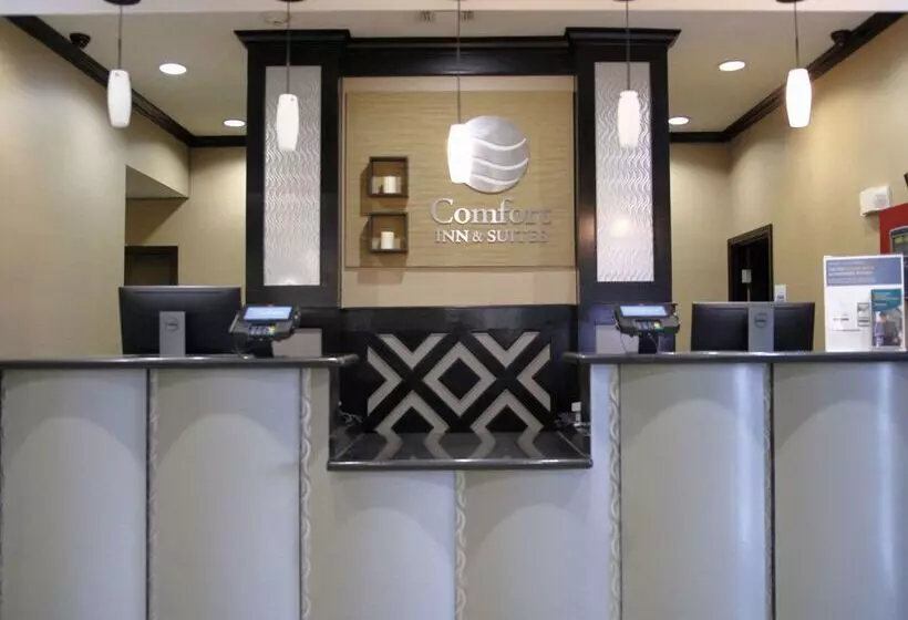 Отель Comfort Inn & Suites Dallas Medicalmarket Center