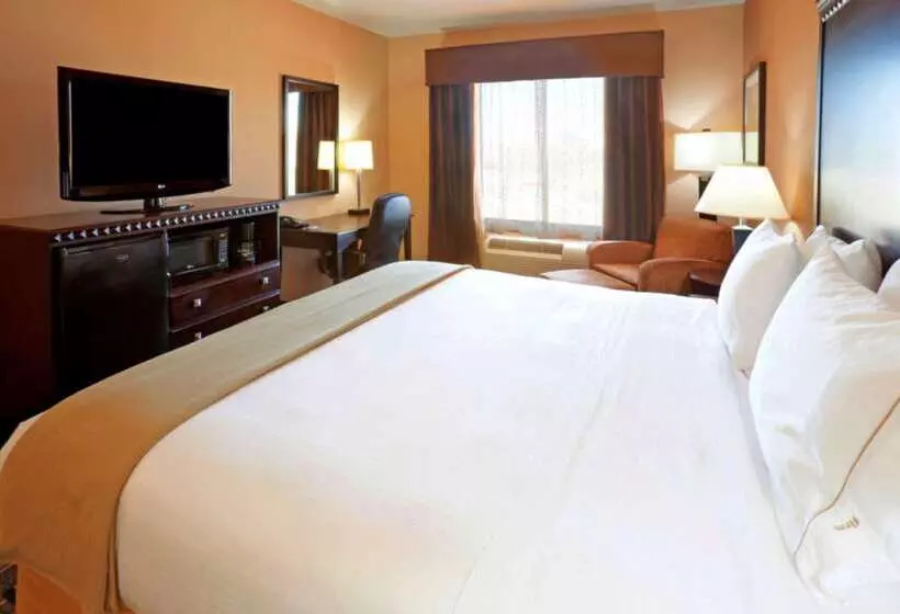 Отель Comfort Inn & Suites Dallas Medicalmarket Center