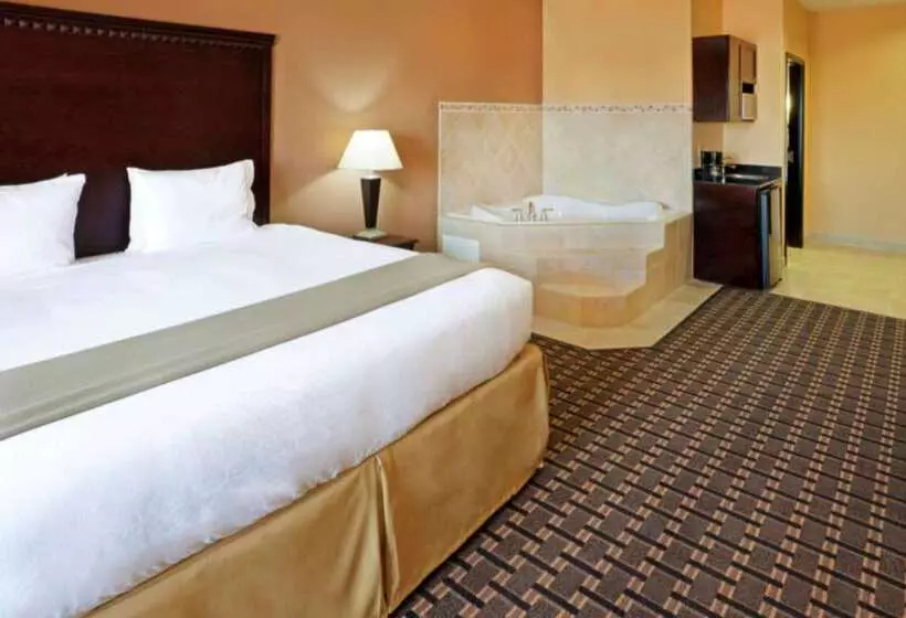 Отель Comfort Inn & Suites Dallas Medicalmarket Center
