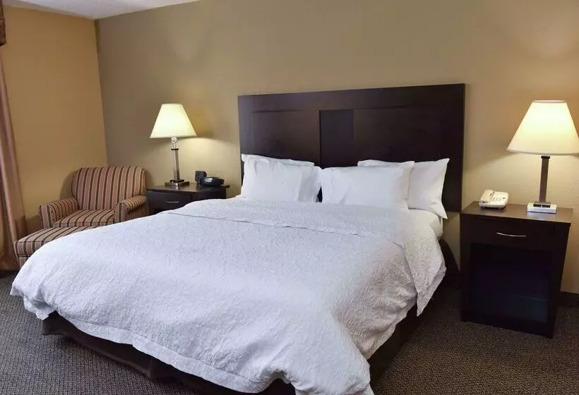 هتل Hampton Inn & Suites Alexandria