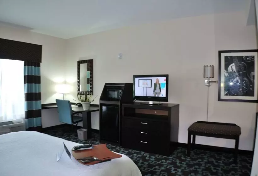 هتل Hampton Inn & Suites Nashville @ Opryland