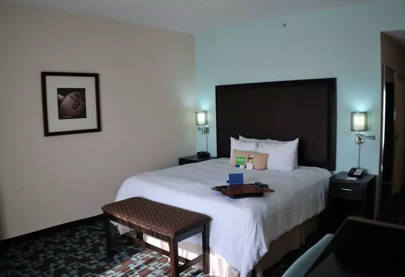 هتل Hampton Inn & Suites Nashville @ Opryland