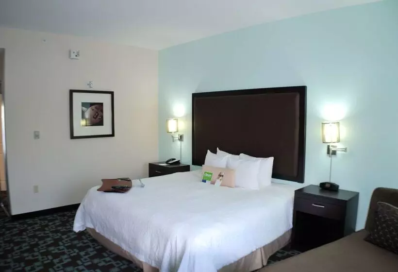 هتل Hampton Inn & Suites Nashville @ Opryland