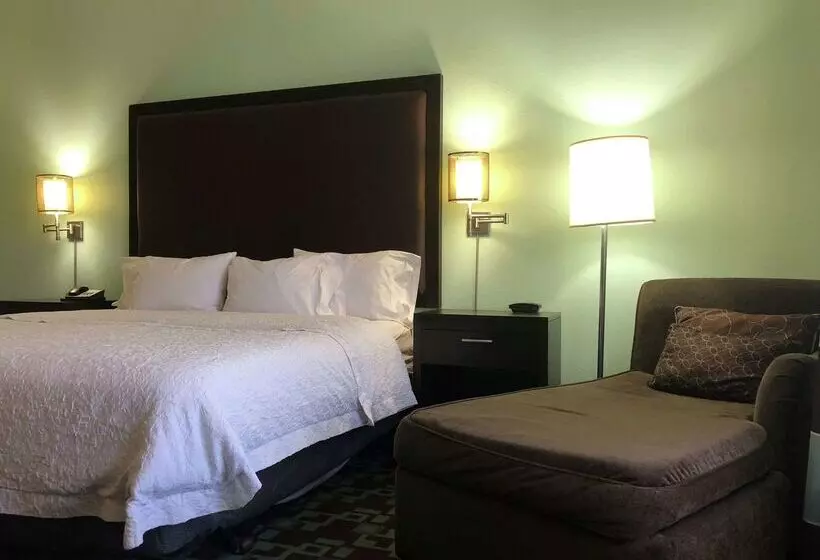 هتل Hampton Inn & Suites Nashville @ Opryland