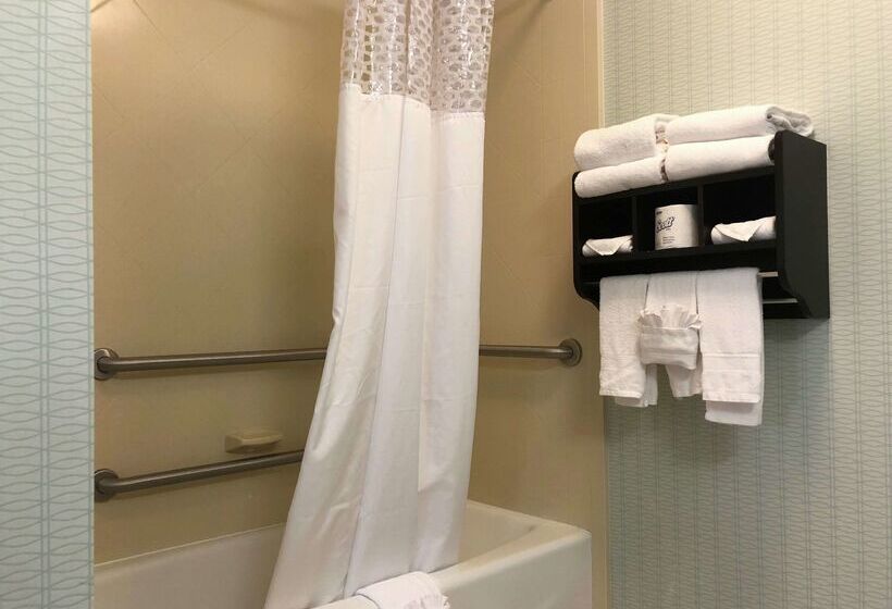 בית מלון כפרי Hampton Inn & Suites Nashville @ Opryland