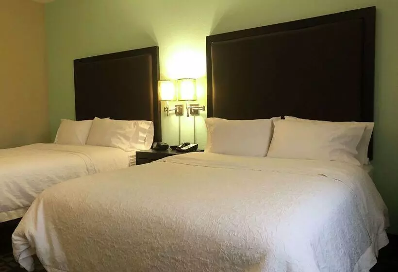 هتل Hampton Inn & Suites Nashville @ Opryland