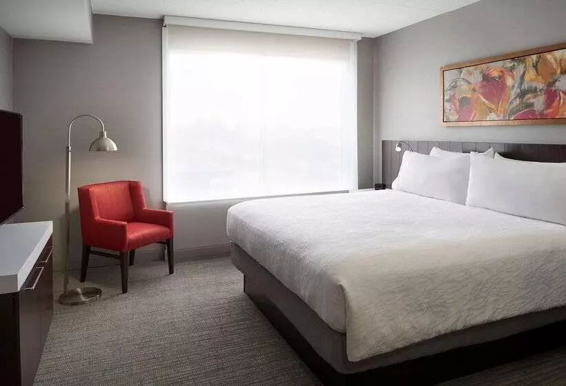 هتل Hilton Garden Inn Toronto Airport West/mississauga