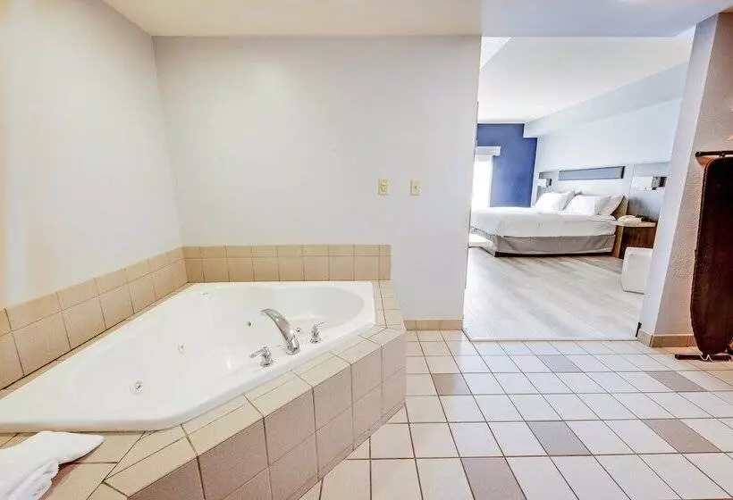 Holiday Inn Express Hotel & Suites Ohio State University  Osu Medical Center, An Ihg