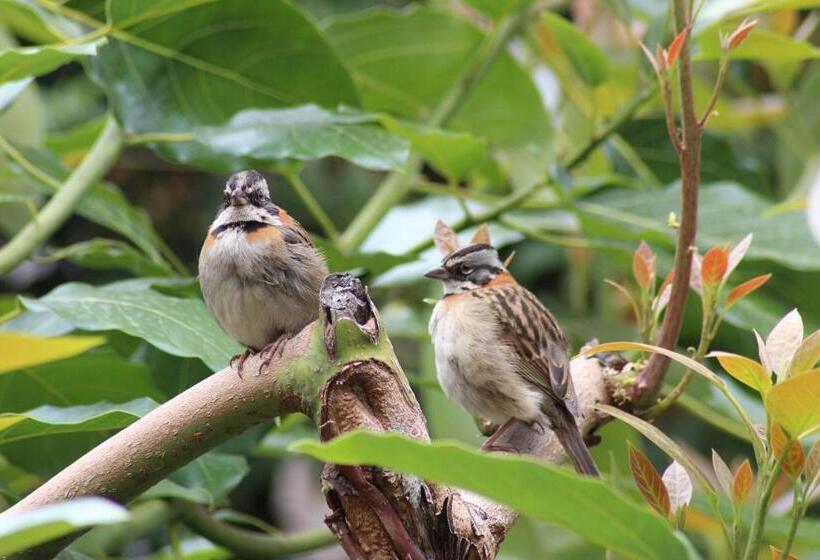 Bed & Breakfast Kentis Home Ollantaytambo