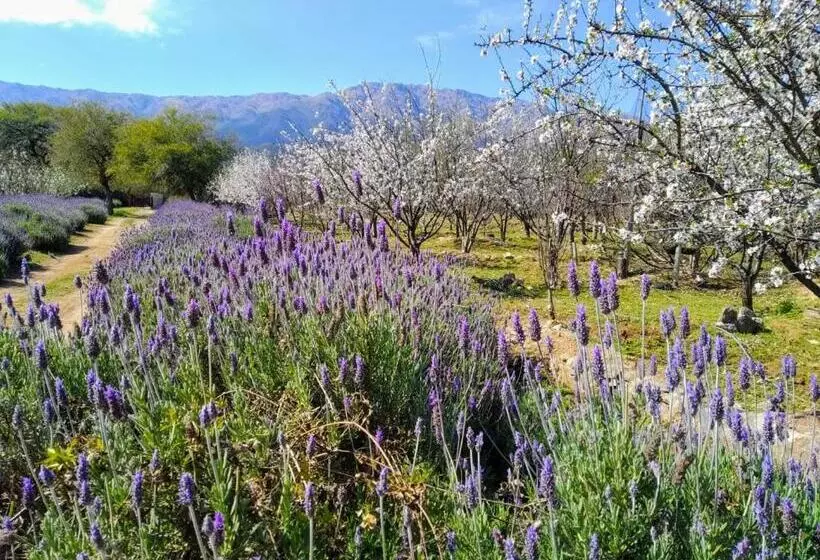 ホテル Finca La Julia