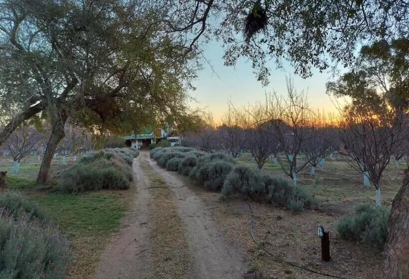 ホテル Finca La Julia