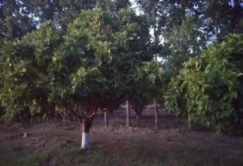 ホテル Finca La Julia
