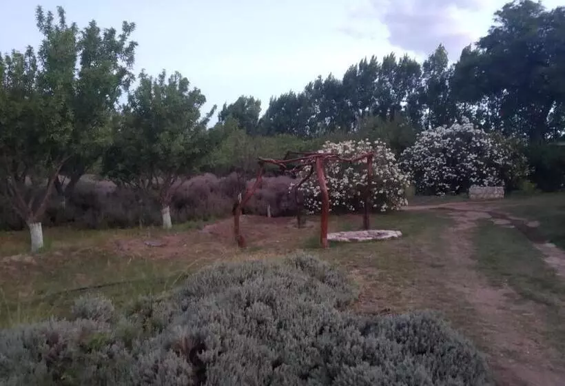 ホテル Finca La Julia