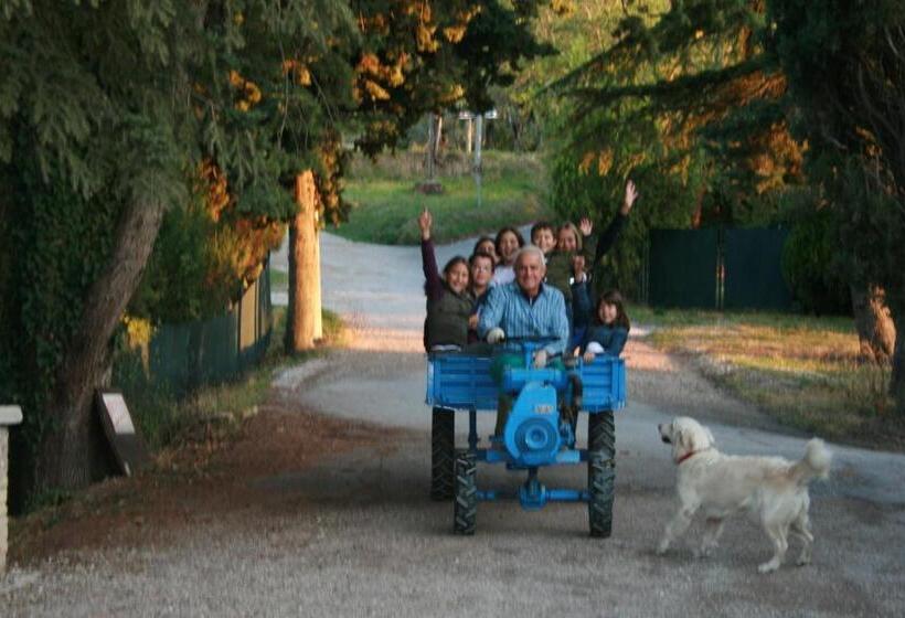 هتل San Lorenzo Della Rabatta