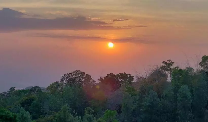 Kstdc Hotel Mayura Biligiri, Br Hills