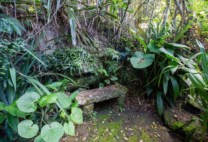 膳宿费 Pousada Flor De Açucena