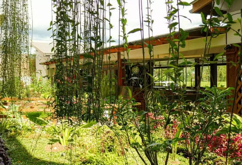 ホテル Santai Toraja