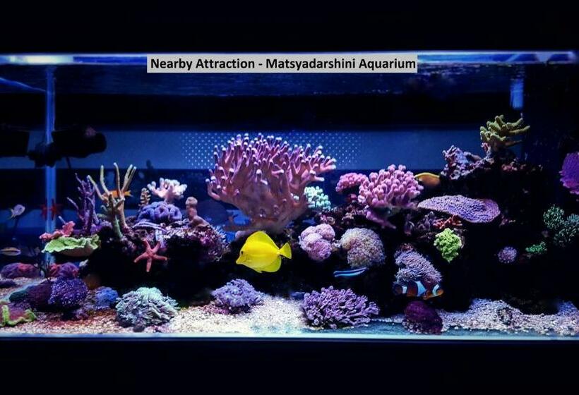 Hotel Super Collection O Jagadamba Junction Near Beach Road