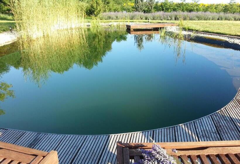 مبيت وإفطار Lesence Major