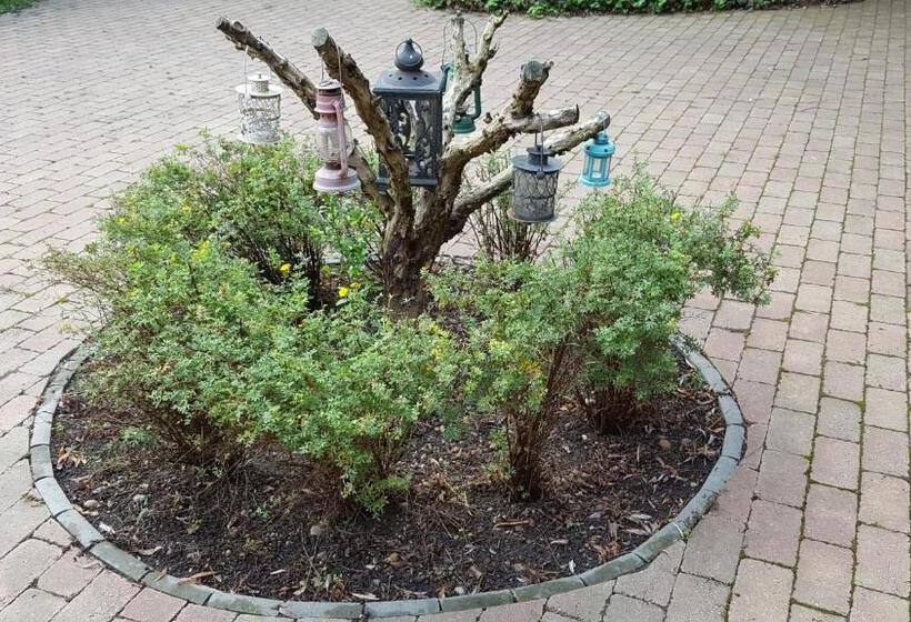 مبيت وإفطار Lesence Major