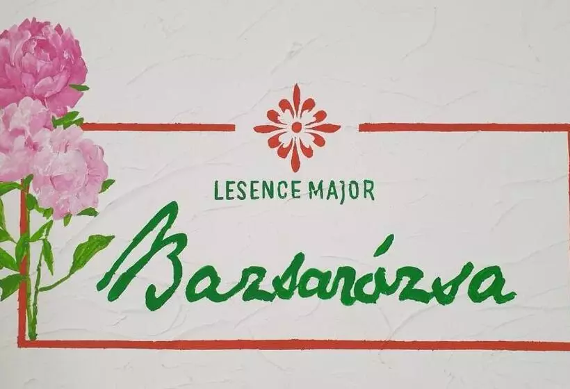 ベッドアンドブレックファースト Lesence Major