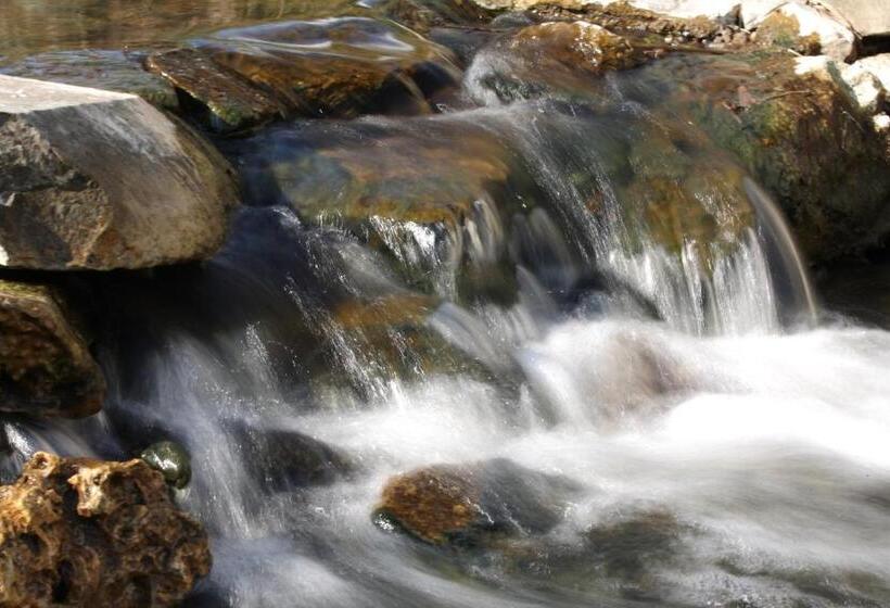 مبيت وإفطار Lesence Major